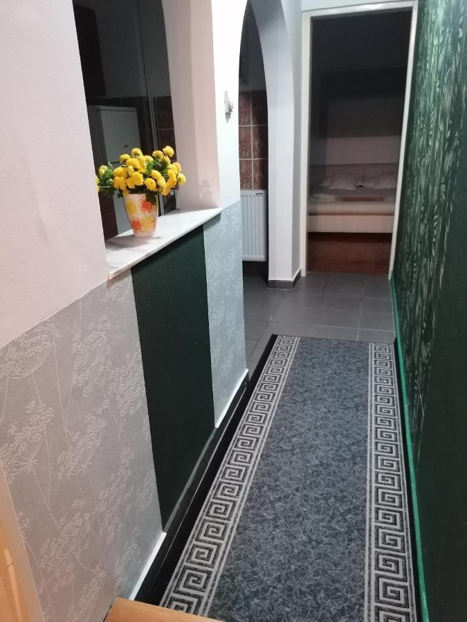 Apartman Centar Kruševac Esterno foto