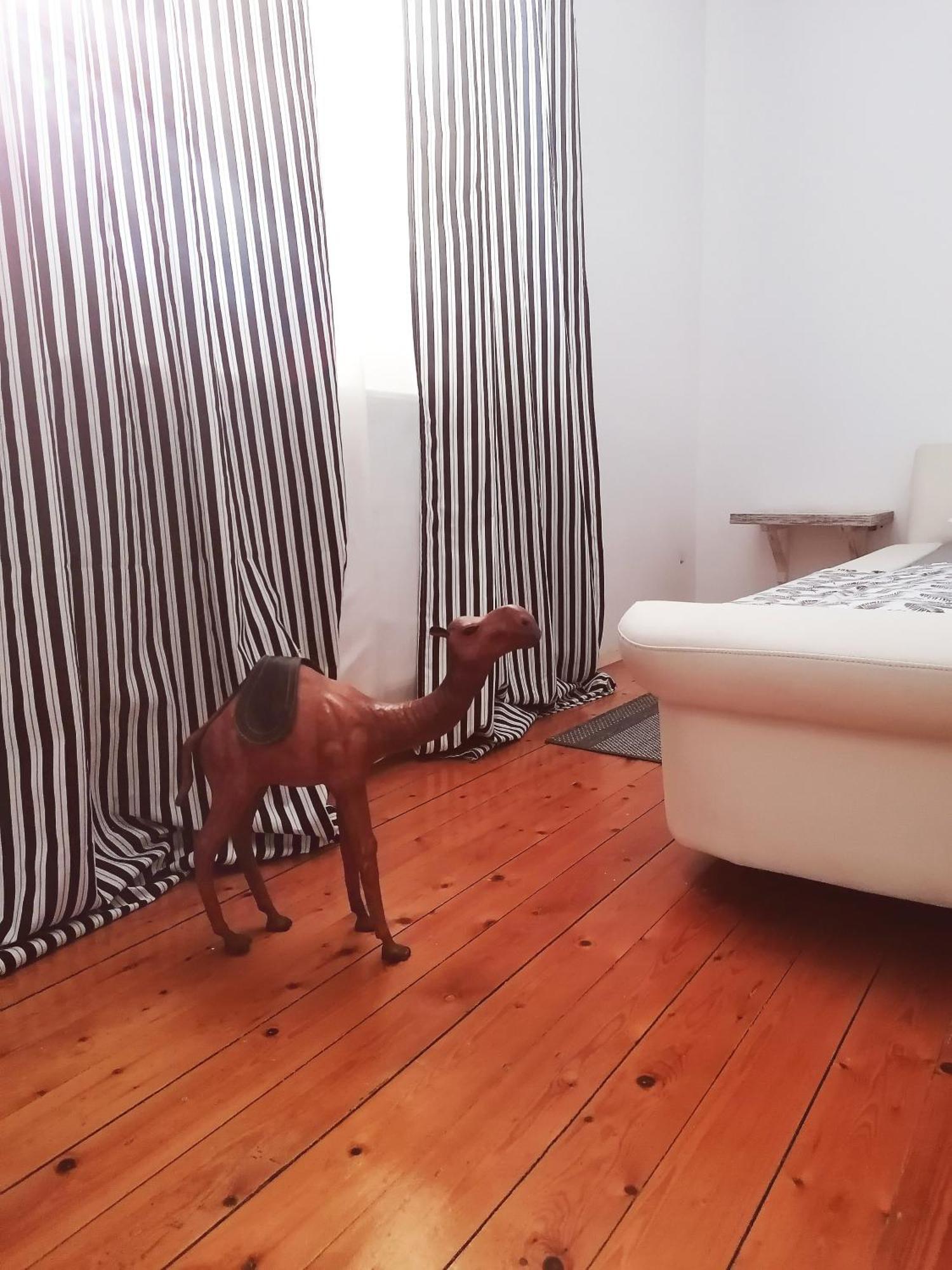 Apartman Centar Kruševac Esterno foto
