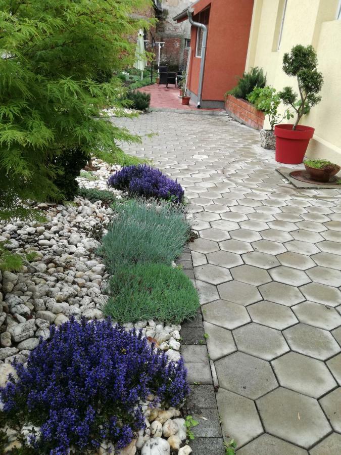 Apartman Centar Kruševac Esterno foto