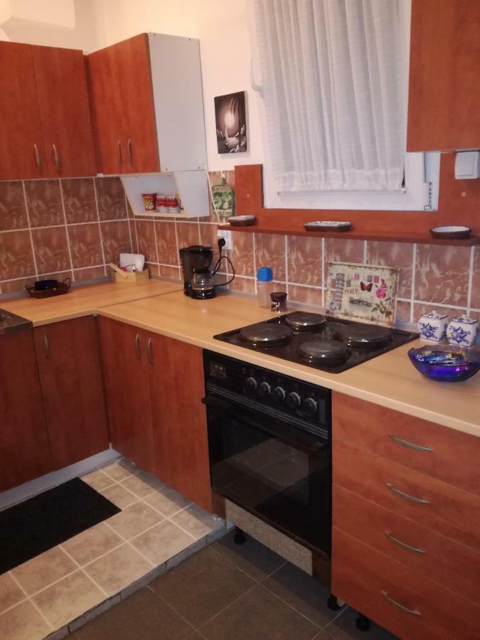 Apartman Centar Kruševac Esterno foto